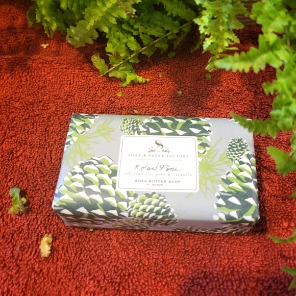 ❤️BUY 5 GET 3 FREE  ROLAND PINE LARGETHREE WICK CANDLE - Picture 8 of 8